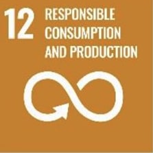 Responsible consumption and production